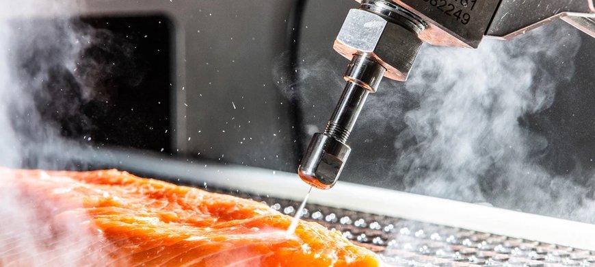 Driven by a passion to help feed our growing world, Marel, Curio and Valka are united to create innovative and sustainable solutions for the seafood industry